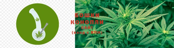 бошки Армянск
