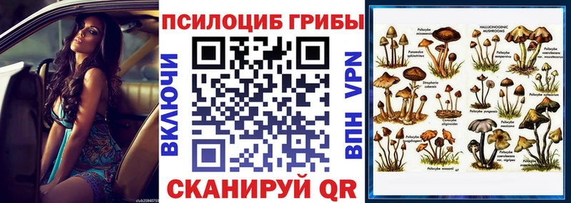 где найти Арсеньев Галлюциногенные грибы ЛСД